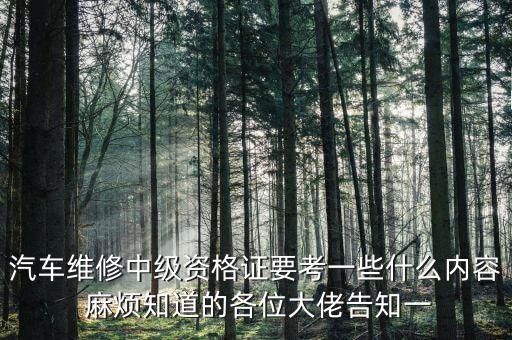 汽车维修中级资格证要考一些什么内容 麻烦知道的各位大佬告知一