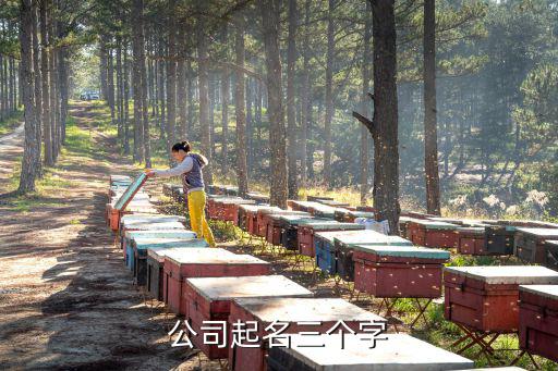 公司起名三个字