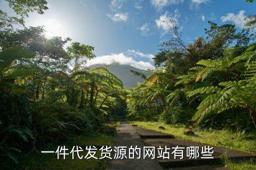 一件代发货源的网站有哪些