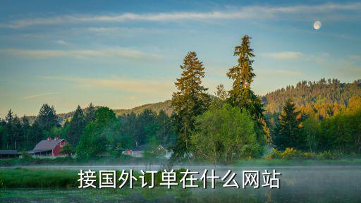 接国外订单在什么网站