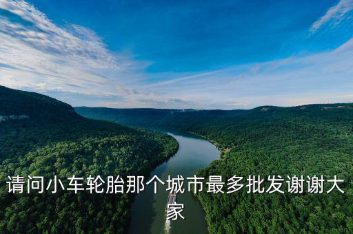 请问小车轮胎那个城市最多批发谢谢大家