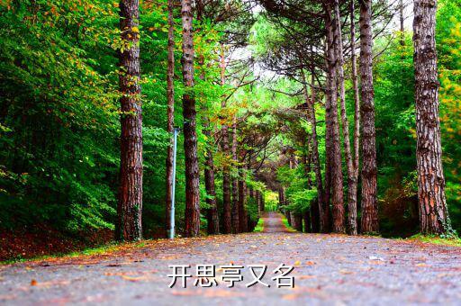 开思平台怎么样，开思亭又名