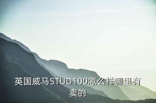 英国威马STUD100怎么样哪里有卖的