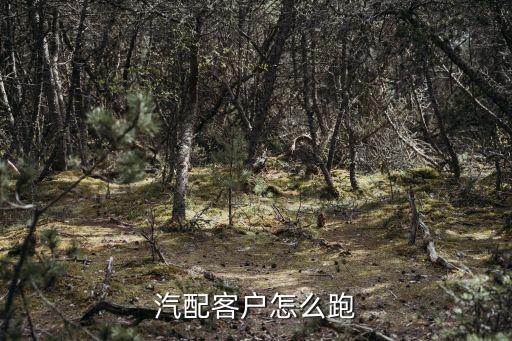 汽配客户怎么跑