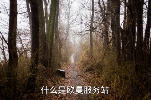什么是欧曼服务站