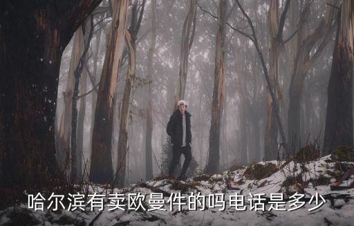 哈尔滨有卖欧曼件的吗电话是多少