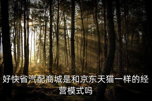 好快省汽配商城是和京东天猫一样的经营模式吗