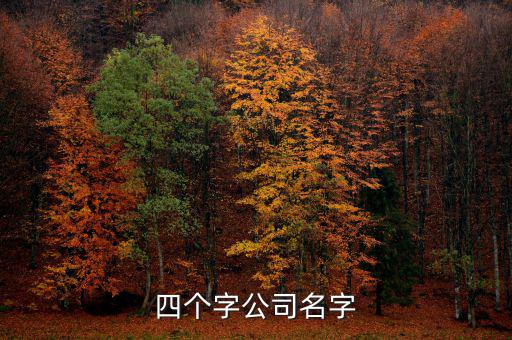 四个字公司名字