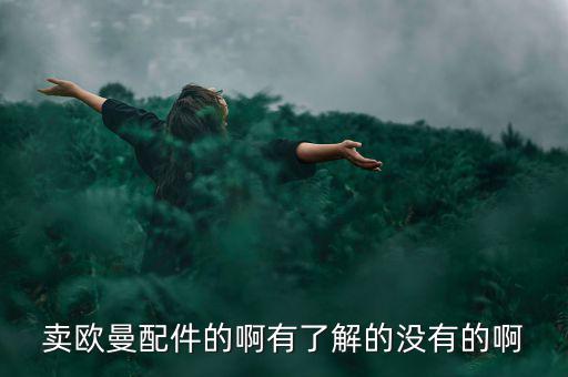 卖欧曼配件的啊有了解的没有的啊
