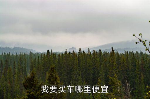 我要买车哪里便宜