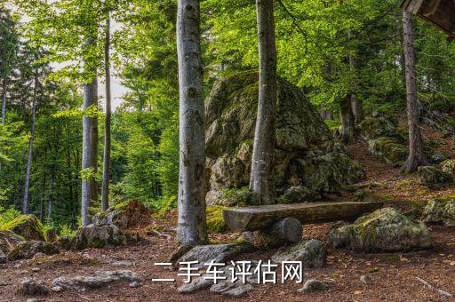 二手车评估网