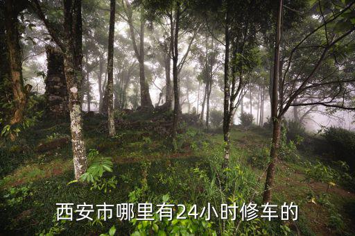 西安市哪里有24小时修车的