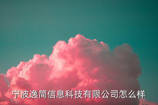 宁波逸简信息科技有限公司怎么样