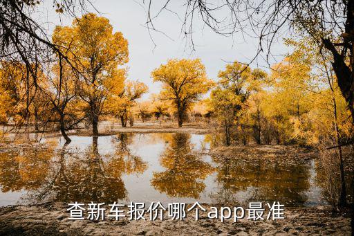 汽车查询软件哪个好用，查新车报价哪个app最准