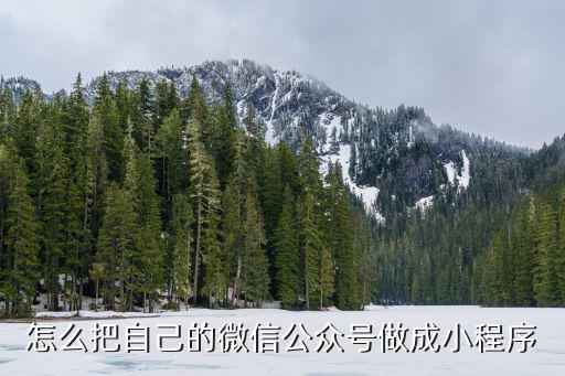 怎么把自己的微信公众号做成小程序