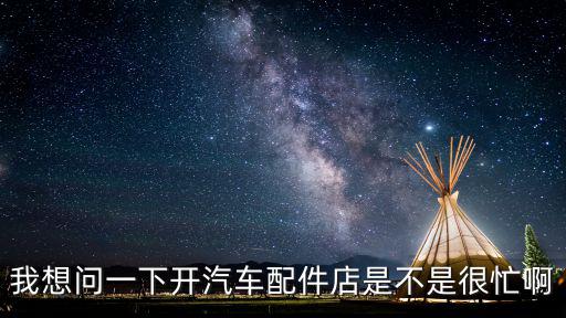 我想问一下开汽车配件店是不是很忙啊
