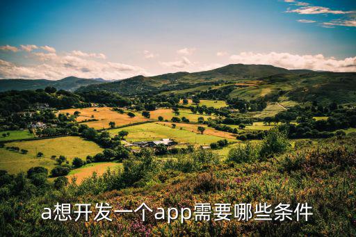 个人开发app需要什么条件，a想开发一个app需要哪些条件
