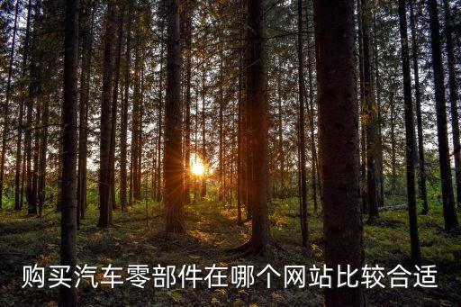 购买汽车零部件在哪个网站比较合适