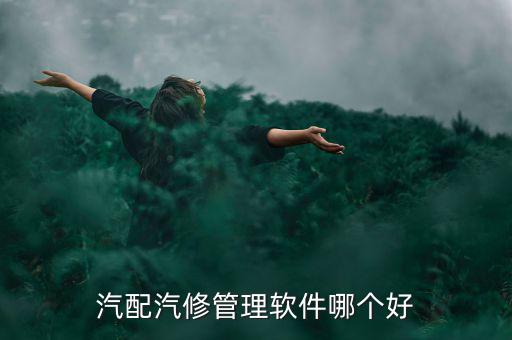 汽配汽修管理软件哪个好