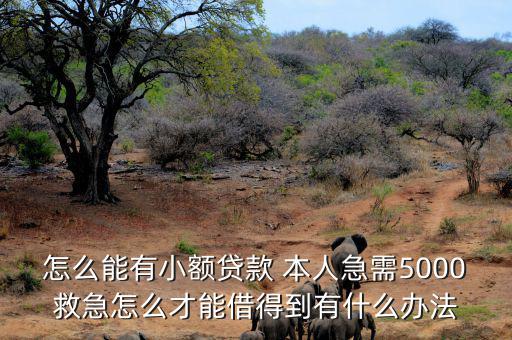 怎么能有小额贷款 本人急需5000救急怎么才能借得到有什么办法