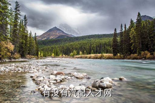 有没有汽配人才网