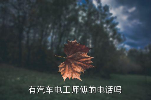 附近汽车电工上门维修电话，有汽车电工师傅的电话吗