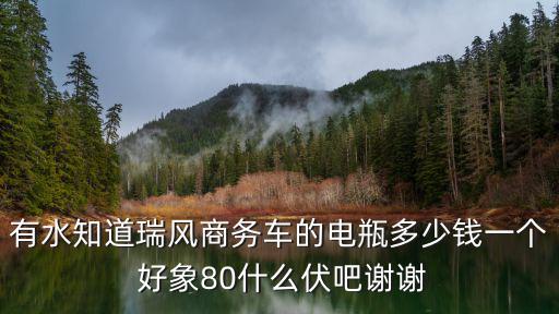 有水知道瑞风商务车的电瓶多少钱一个 好象80什么伏吧谢谢