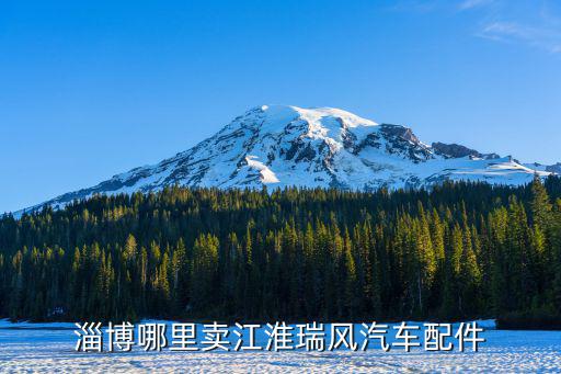 江淮汽车配件专卖，淄博哪里卖江淮瑞风汽车配件