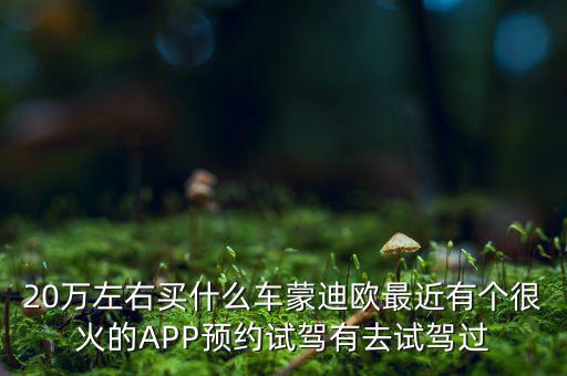20万左右买什么车蒙迪欧最近有个很火的APP预约试驾有去试驾过