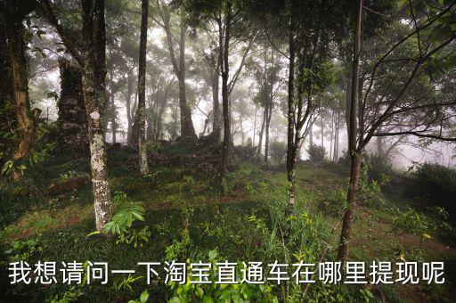 我想请问一下淘宝直通车在哪里提现呢