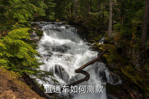 直通车如何测款