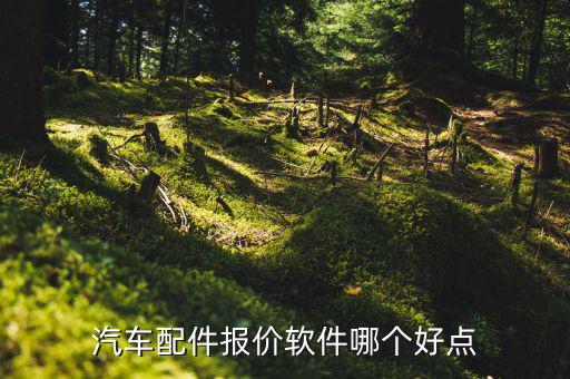 汽车配件报价软件哪个好点