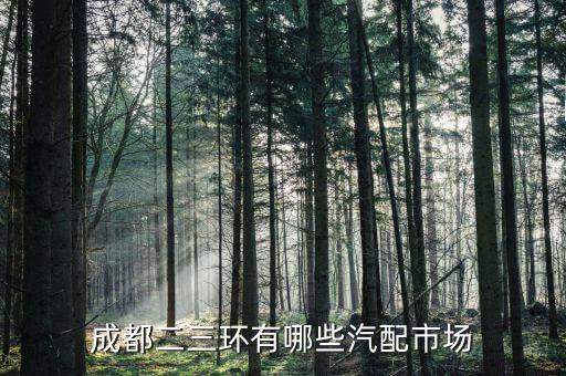 成都二三环有哪些汽配市场