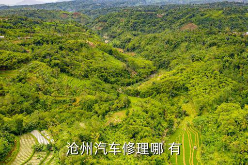 沧州汽车修理哪 有