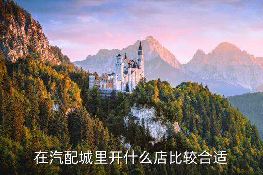 在汽配城里开什么店比较合适