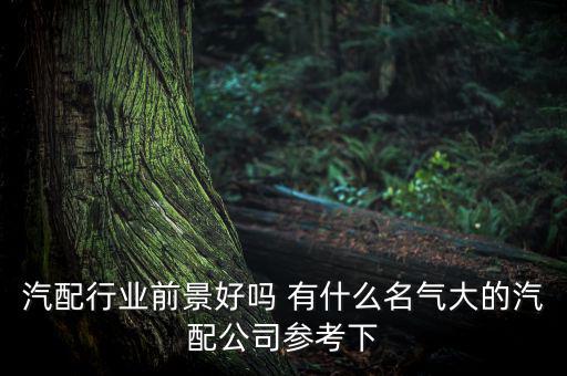 汽配行业前景好吗 有什么名气大的汽配公司参考下