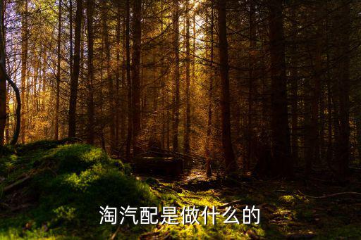 淘汽配是做什么的