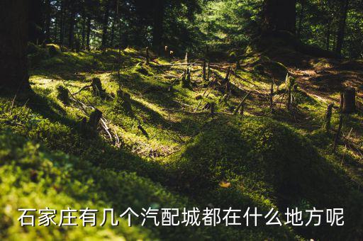 石家庄有几个汽配城都在什么地方呢