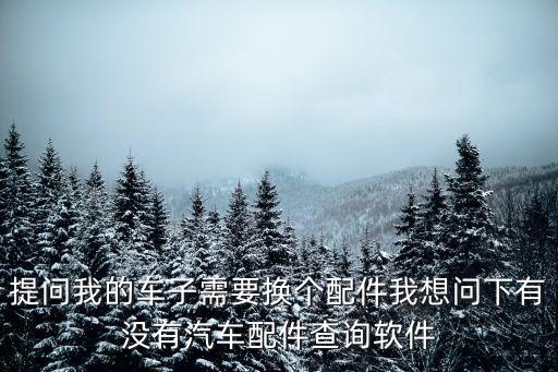 提问我的车子需要换个配件我想问下有没有汽车配件查询软件