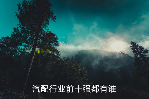 汽配行业前十强都有谁