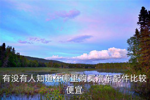 有没有人知道在哪里购买汽车配件比较便宜