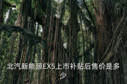 北汽eu5新能源多少钱，15万高续航电车北汽EU5和比亚迪秦Pro谁更值