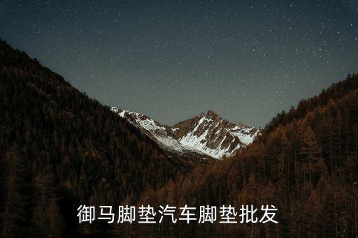 求购汽车脚垫，御马脚垫汽车脚垫批发