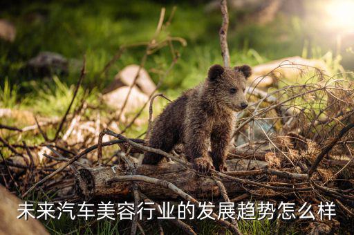 2022年中国汽车行业分析，汽车行业的发展前景论文2500字