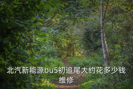 北汽新能源bu5初追尾大约花多少钱维修