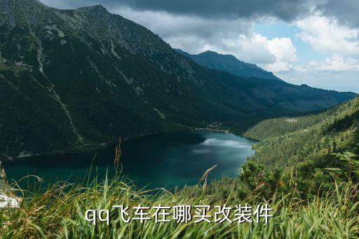 qq飞车在哪买改装件