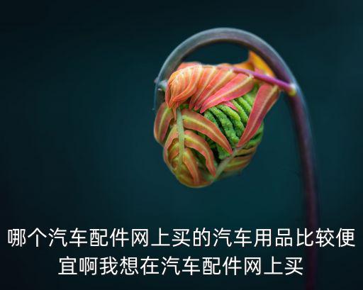 车辆配件什么网买便宜，如果去网上买汽车用品的话哪个汽车配件网比较好呀