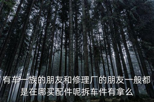 有车一族的朋友和修理厂的朋友一般都是在哪买配件呢拆车件有拿么