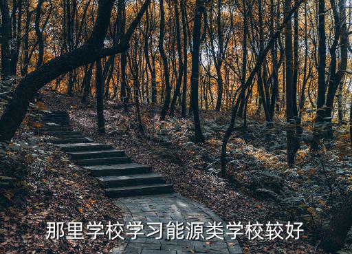 那里学校学习能源类学校较好