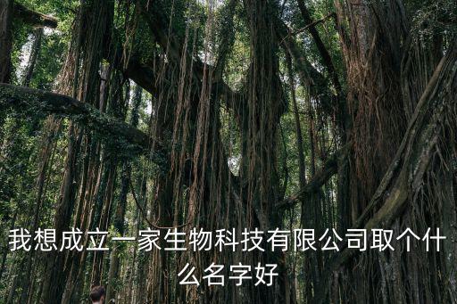 我想成立一家生物科技有限公司取个什么名字好